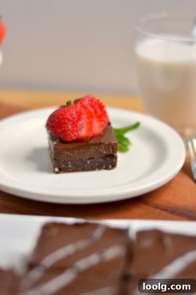 Raw Vegan Fudgy Chocolate Brownie Bliss 11 Hand Holding a Piece of Raw Vegan Brownie