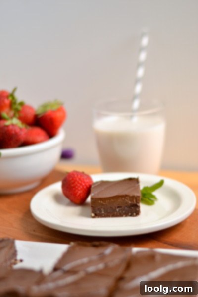 Raw Vegan Fudgy Chocolate Brownie Bliss 2 Close-up of Raw Vegan Brownies with Strawberry Slices