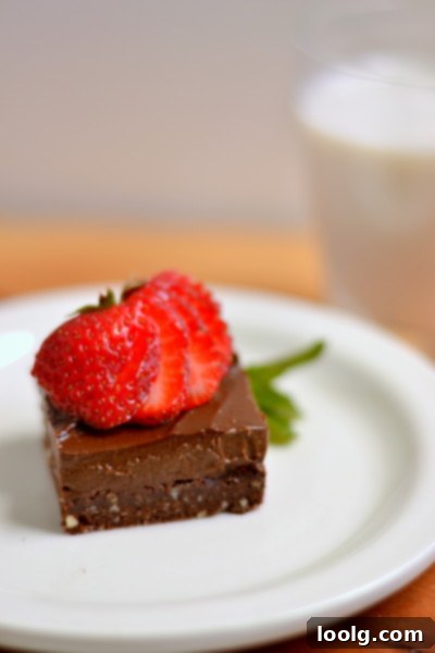Raw Vegan Fudgy Chocolate Brownie Bliss 3 Stacked Raw Vegan Brownies showing Chocolate Frosting