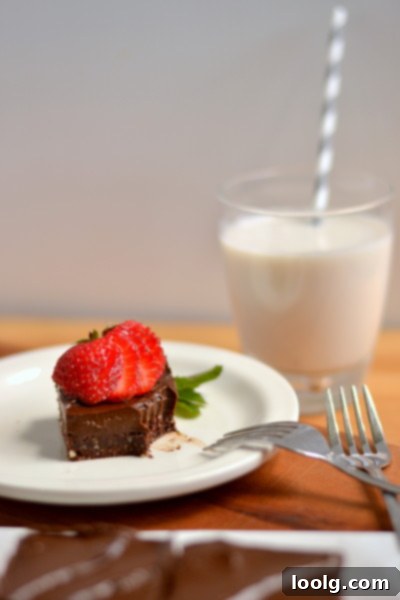 Raw Vegan Fudgy Chocolate Brownie Bliss 5 Raw Vegan Brownie with Chocolate Frosting in Loaf Pan