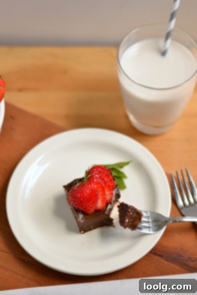 Raw Vegan Fudgy Chocolate Brownie Bliss 6 Spoonful of Raw Vegan Chocolate Frosting