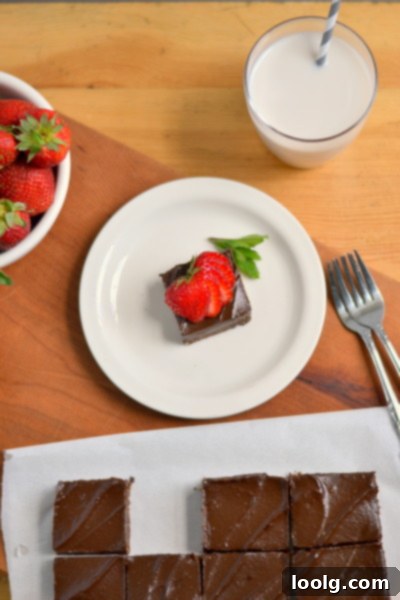 Raw Vegan Fudgy Chocolate Brownie Bliss 7 Plated Raw Vegan Chocolate Brownie with Berries