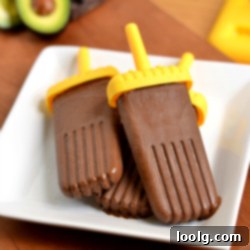 Decadent Vegan Dark Chocolate Fudge Pops 1 img 7758 10