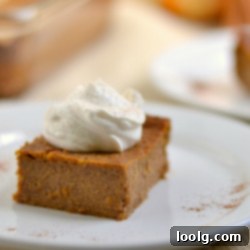Dairy-Free Whole Wheat Crustless Pumpkin Bars 1 Whole Wheat Crustless Pumpkin Pie Bars