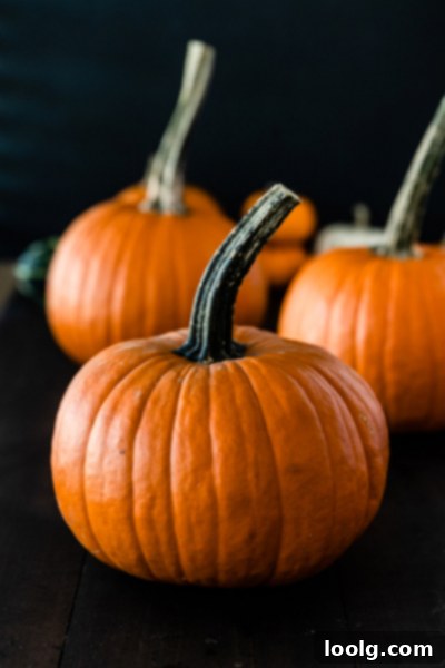 Crafting Homemade Pumpkin Puree 3 Selection of fresh sugar pumpkins ready for pureeing