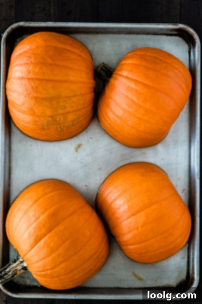 Crafting Homemade Pumpkin Puree 5 Pumpkin halves placed cut-side down on a baking sheet with water