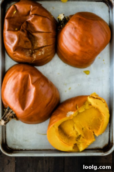 Crafting Homemade Pumpkin Puree 6 Roasted pumpkin halves, showing soft flesh ready for scooping