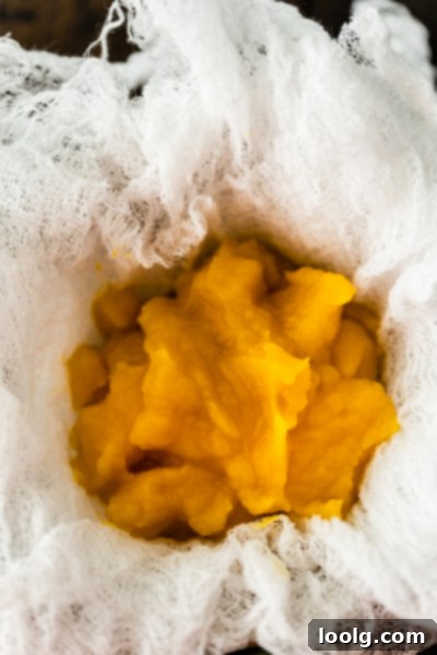 Crafting Homemade Pumpkin Puree 10 Thick, perfectly drained homemade pumpkin puree in a bowl