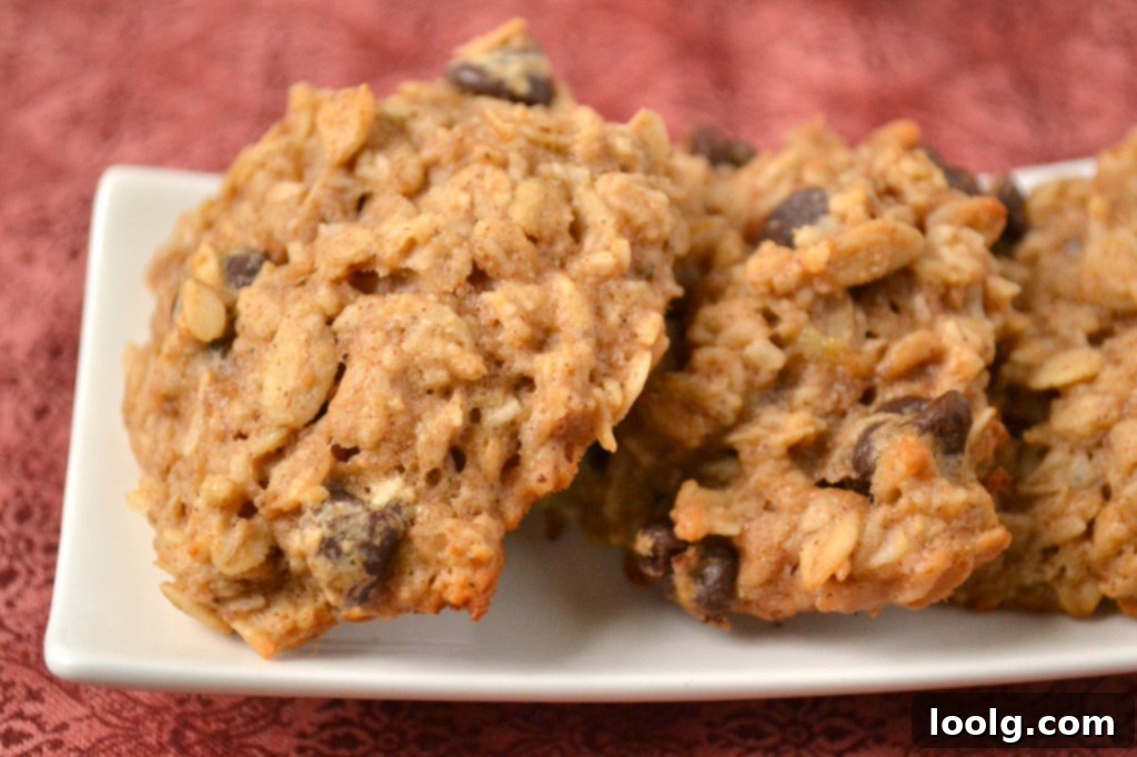 Peanut Butter Banana Chocolate Chunk Cookies Close-up of a single Peanut Butter Banana Chocolate Chunk Cookie, highlighting texture