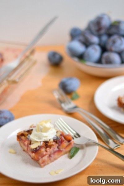 Plum Almond Clafoutis Plum Almond Clafoutis Image