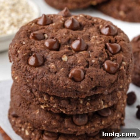 Close-up of a stack of cocoa oatmeal cookies on a white table