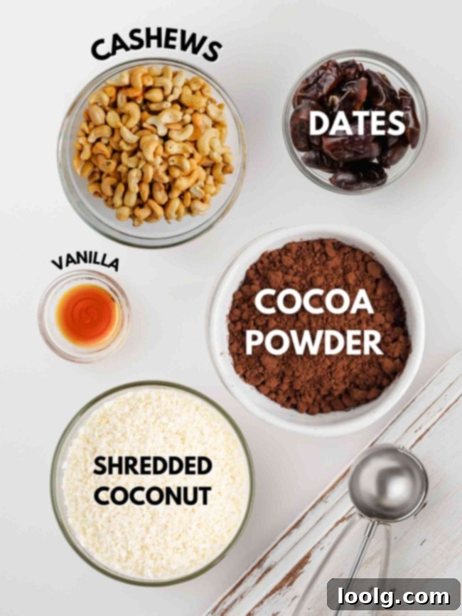 Coco-Nutty Chocolate Bites 3 Ingredients laid out to make chocolate coconut nut balls