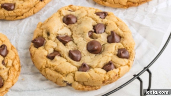A close-up, mouth-watering photo of a single, perfect chocolate chip cookie made without butter, showcasing its rich texture and abundant, melted chocolate chips.