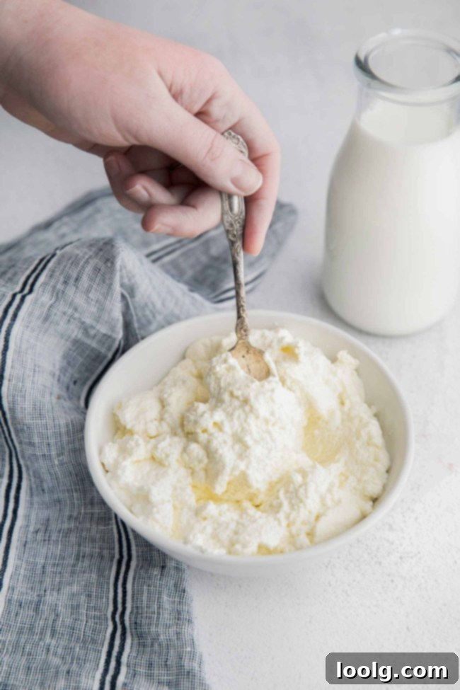 Freshly made creamy ricotta cheese in a bowl