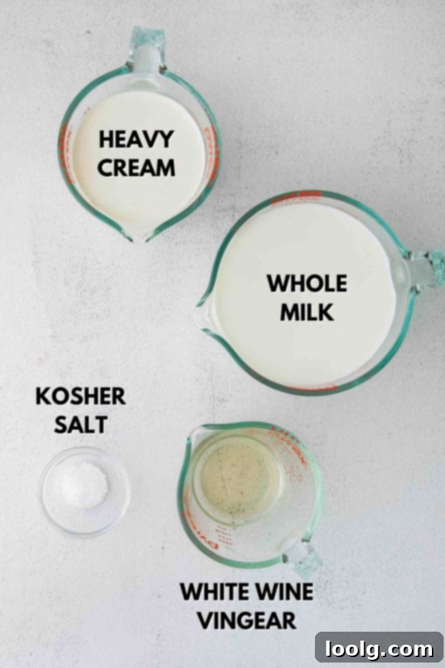 Ingredients laid out to make fresh ricotta cheese, including milk, cream, vinegar, and salt