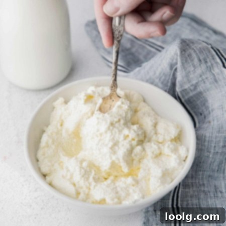 spoon digging into a bowl of ricotta cheese