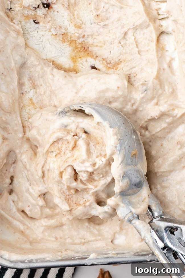 Creamy Cottage Cheese Ice Cream Recipe 3 ice cream scooper scooping up cottage cheese ice cream
