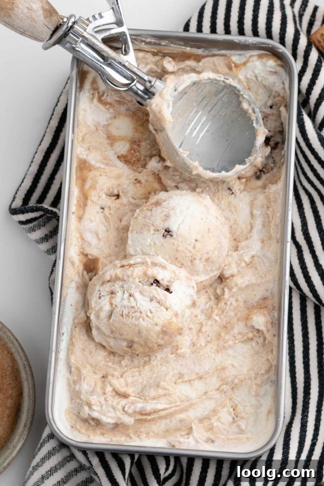 Creamy Cottage Cheese Ice Cream Recipe 5 ice cream scooper in a loaf pan filled with cottage cheese ice cream