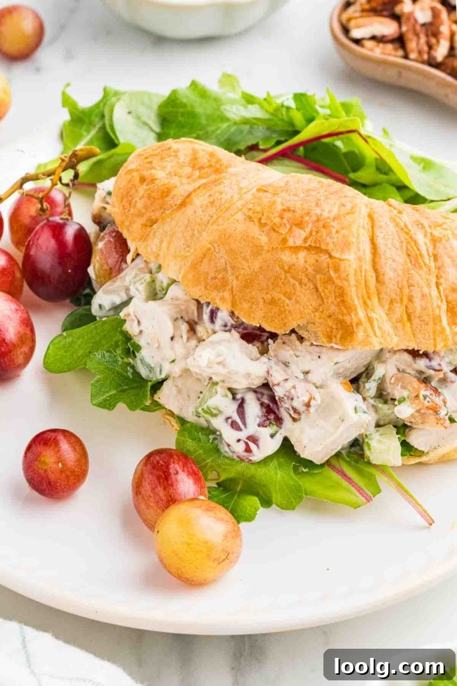 Creamy Chicken Salad with Grapes for Summer Lunch 2 chicken salad in a croissant with lettuce on a white plate with tomatoes in background