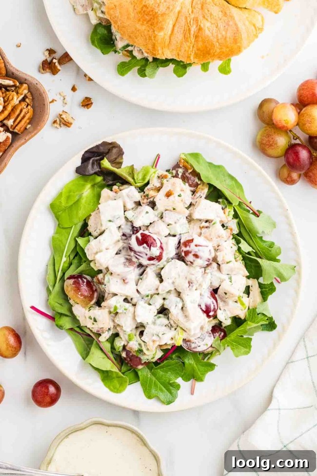 Creamy Chicken Salad with Grapes for Summer Lunch 5 overhead shot of chicken salad with grapes on a white plate with lettuce under the salad