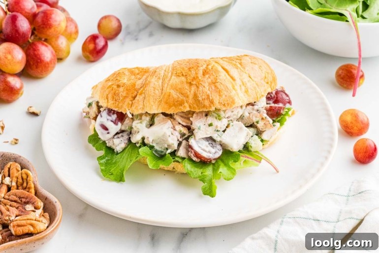 Creamy Chicken Salad with Grapes for Summer Lunch 7 grape chicken salad in a croissant on a white plate