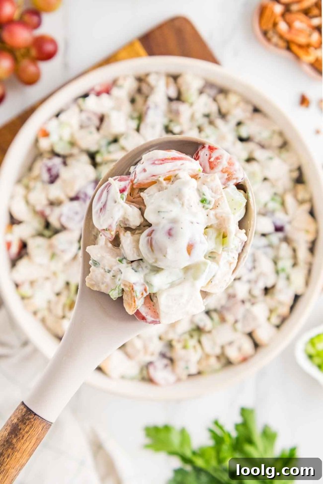 Creamy Chicken Salad with Grapes for Summer Lunch 8 grape chicken salad being removed from white bowl with a white spoon