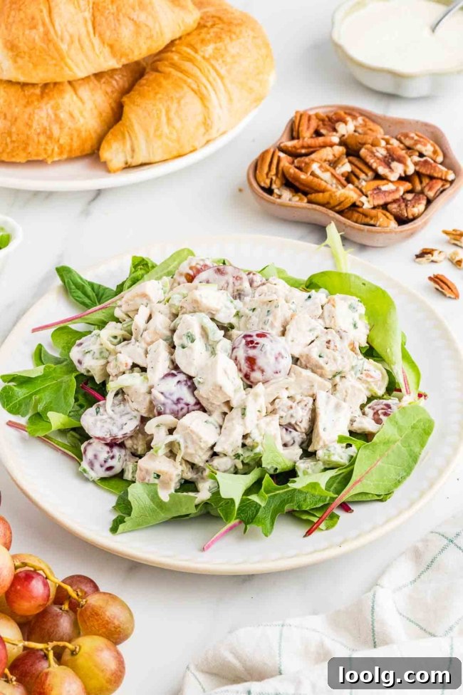 Creamy Chicken Salad with Grapes for Summer Lunch 9 chicken salad with grapes on a bed of lettuce with pecans and croissants in background