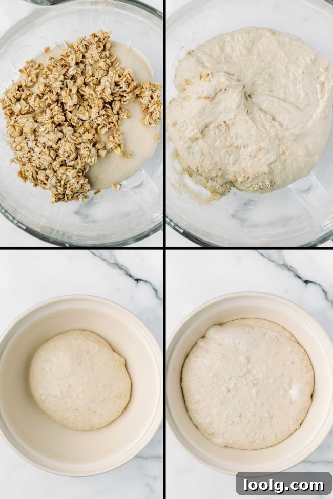 collage showing the adding of the oats and the first/later folds and bulk-fermented dough