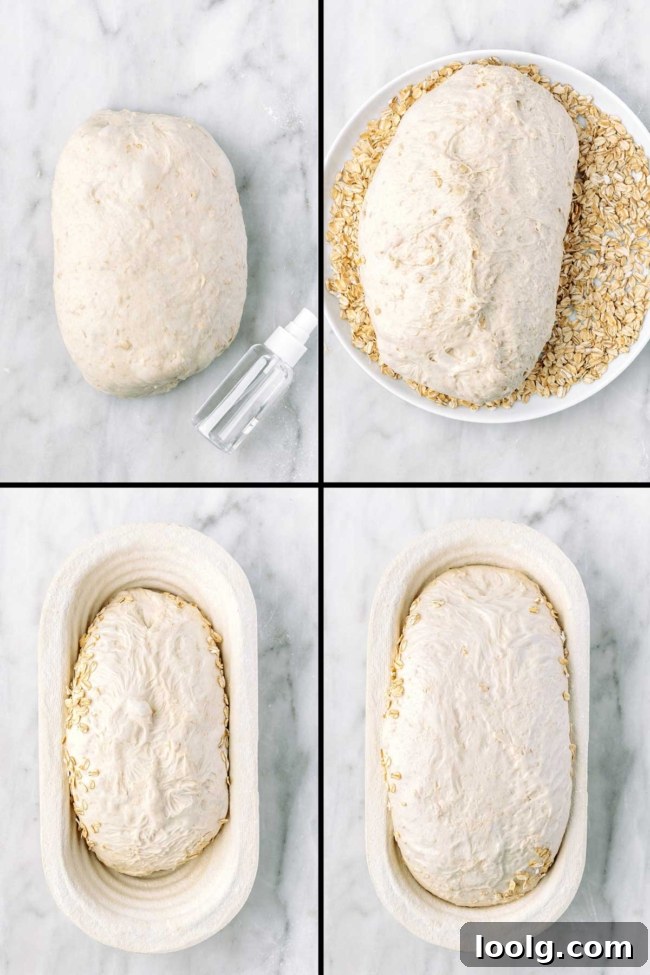 collage showing the pre-shaped dough and coating it in oats