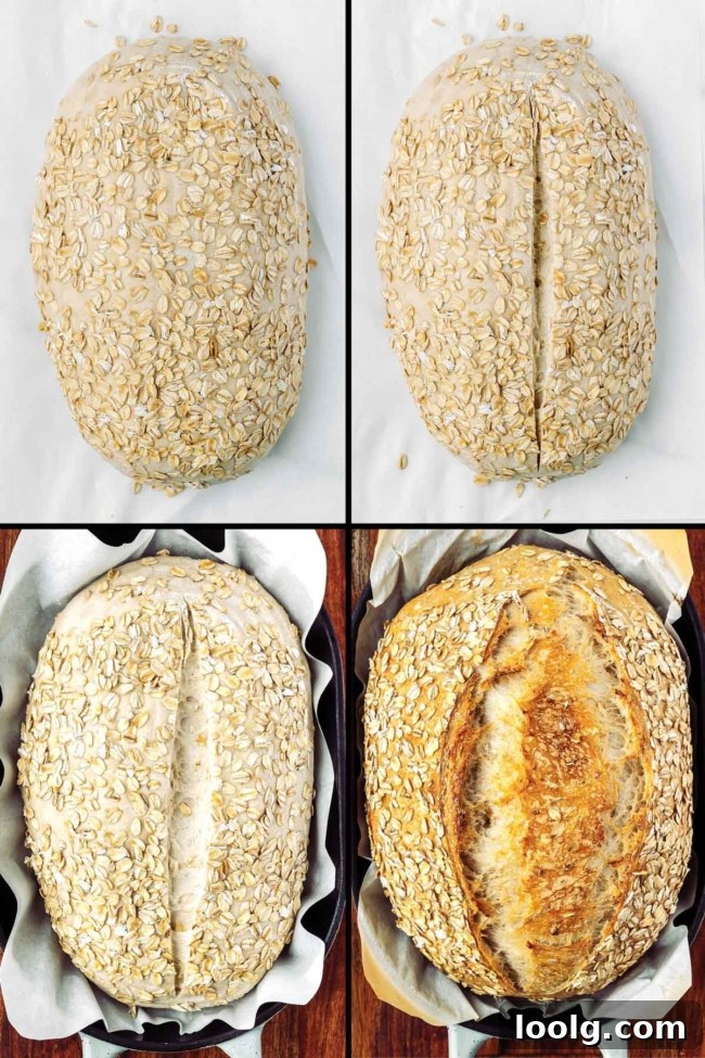 collage showing the proofed loaf, scored loaf, baked loaf